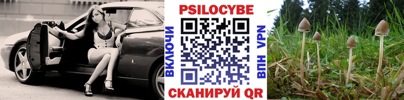 Галлюциногенные грибы MAGIC MUSHROOMS Мыски