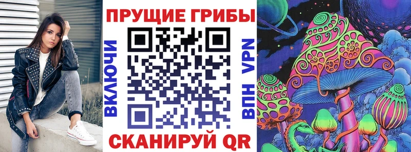 Галлюциногенные грибы Psilocybine cubensis  Мыски 